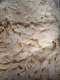 Кільця кальмара клас А 1kg. 