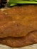 Чіпси індички 70g. 